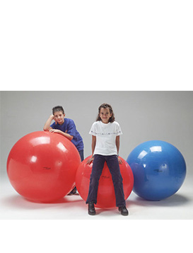 5755  Gymnic Classic Plus